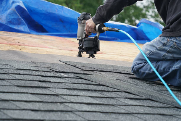 Quick and Trustworthy Emergency Roof Repair Services in Rio Rico, AZ